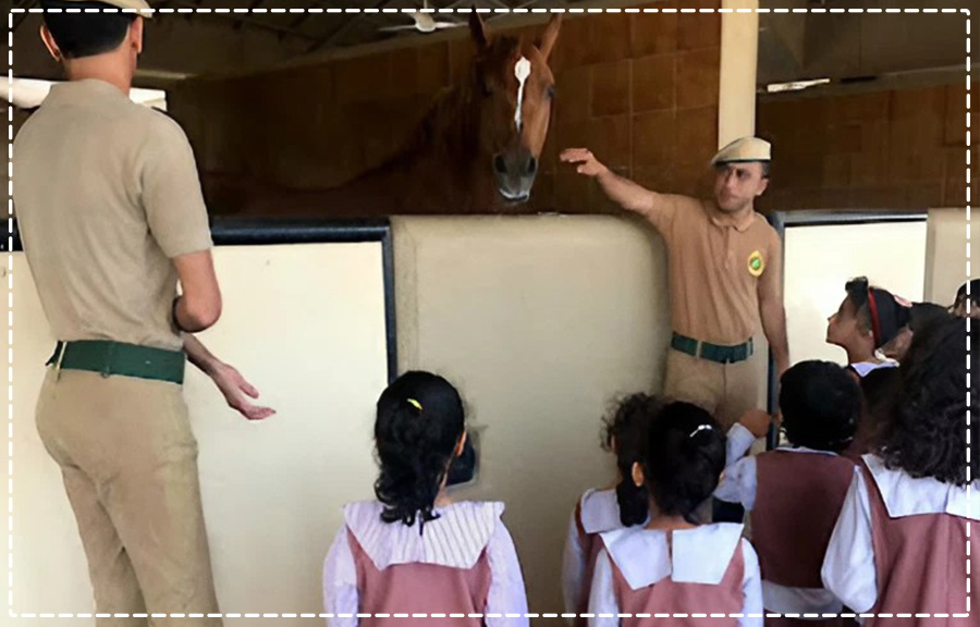 رحلة الخيالة السلطاني